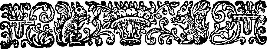 002/002420010000050_0.png