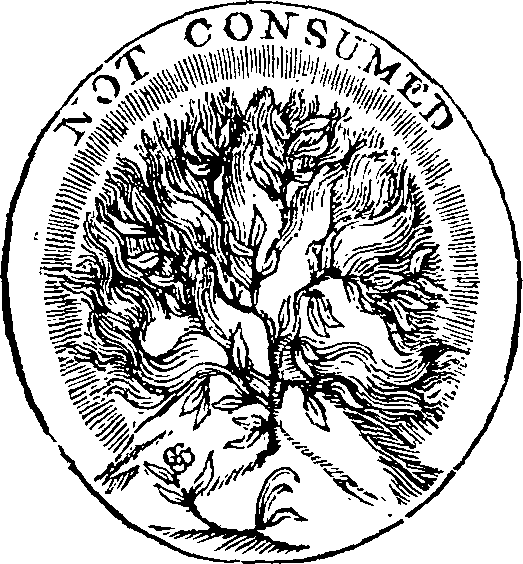 002/002520250000010_0.png