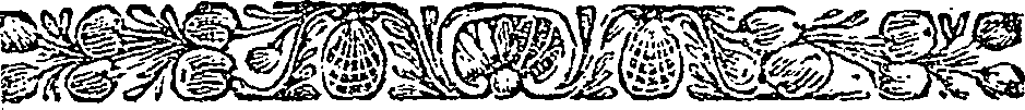 003/003420020000030_1.png