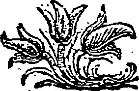 003/003600080000040_0.png
