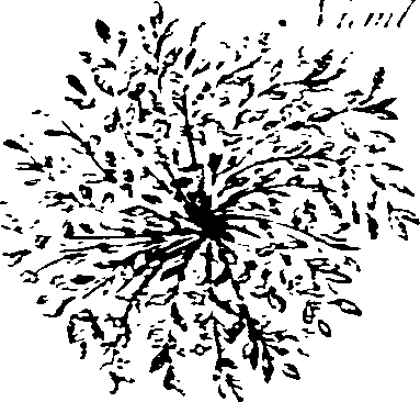 003/003800120000040_1.png