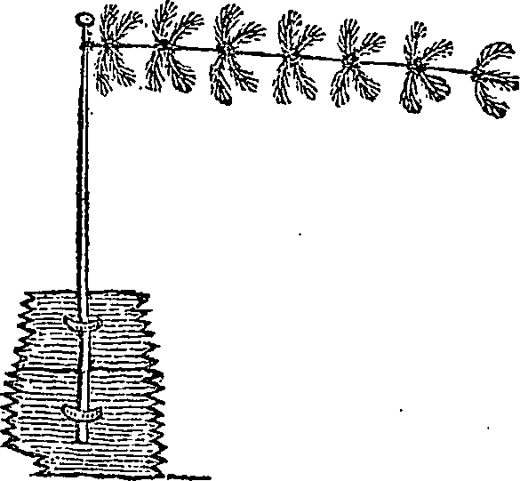 004/004540010501680_0.png