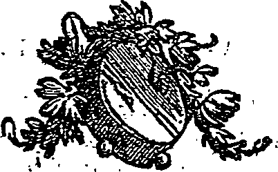 004/004540010601260_0.png