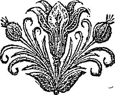 004/004660260000020_0.png