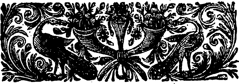 004/004750060000020_1.png