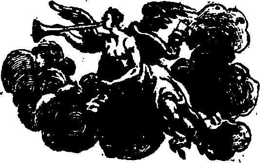 004/004840440000560_0.png