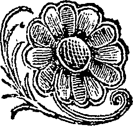004/004900260000010_0.png