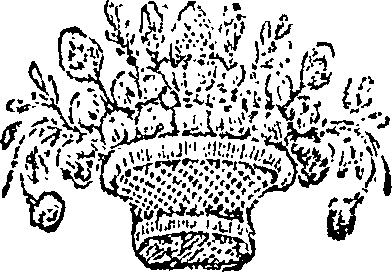 004/004900260000060_0.png
