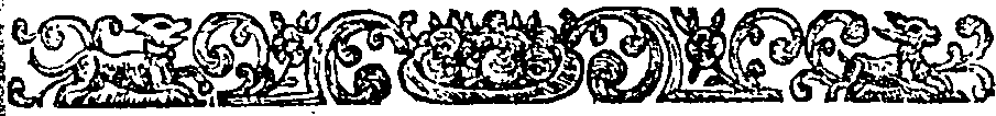 005/005020050000230_0.png