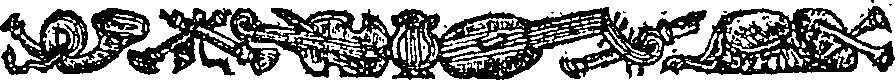 005/005020050000910_0.png