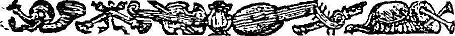 005/005020050001560_0.png
