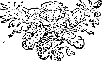 005/005020060000860_0.png