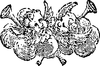 005/005020060000870_0.png