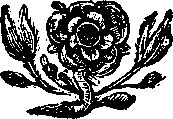 005/005490260000110_0.png