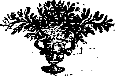 005/005510050000050_0.png