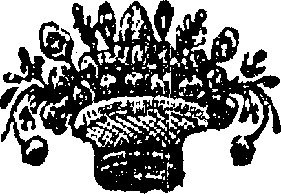 005/005530120000450_0.png