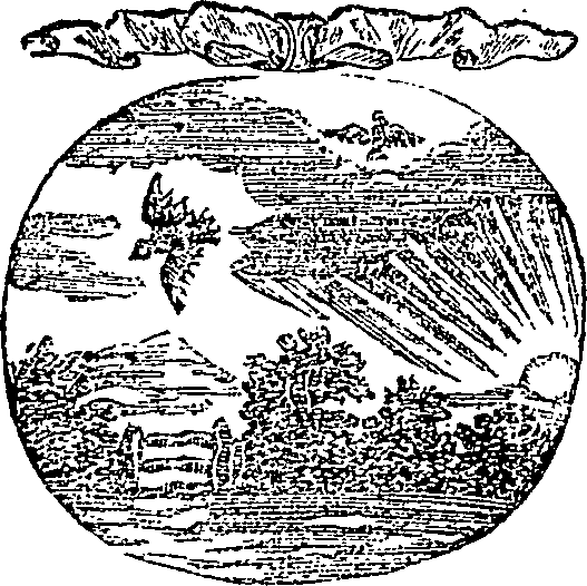 005/005570090000390_0.png