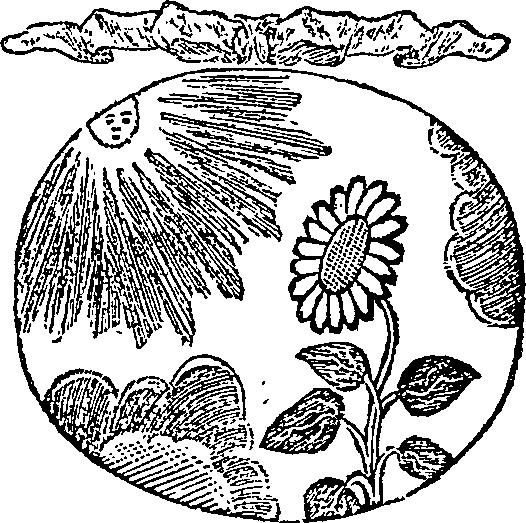 005/005570090000480_0.png