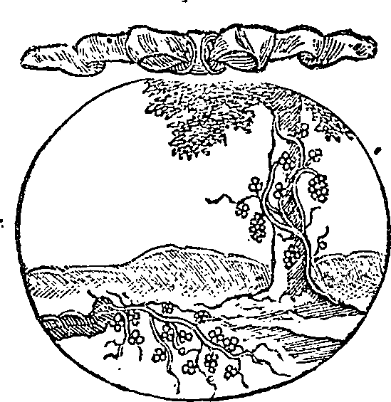 005/005570090000860_0.png