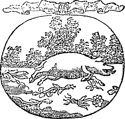 005/005570090001140_0.png