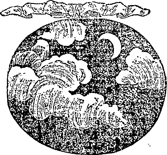 005/005570090001200_0.png