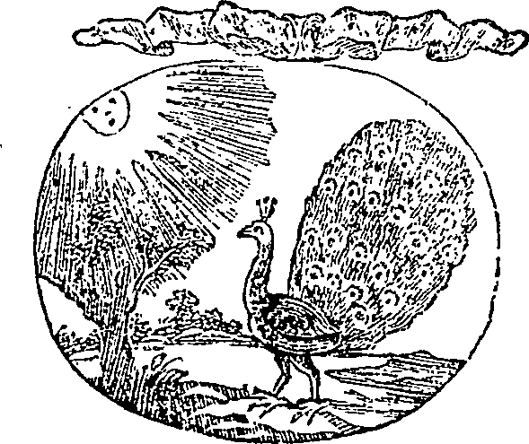 005/005570090001420_0.png