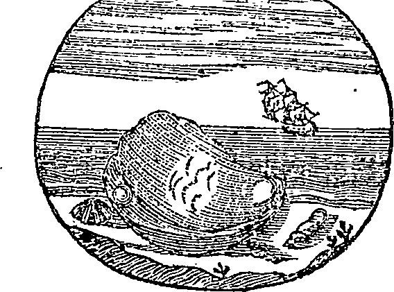 005/005570090001680_0.png