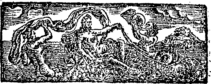 005/005640110000110_1.png