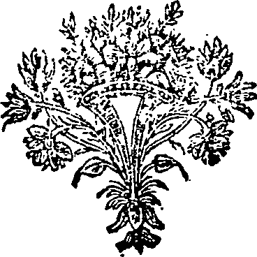 005/005640110001190_0.png