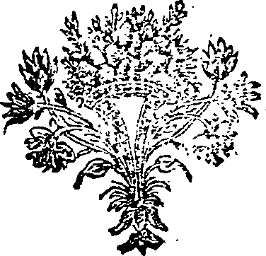 005/005640110001530_0.png