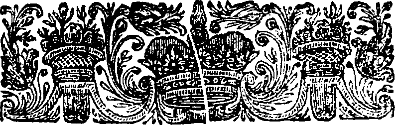 005/005790130200870_1.png