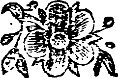 005/005790130201020_0.png