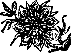005/005790130201500_0.png