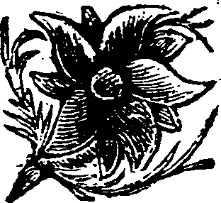 005/005790130201720_0.png