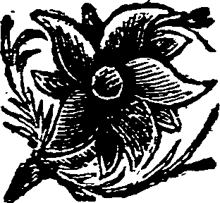 005/005790130202260_0.png