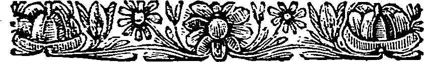 005/005890080000020_1.png