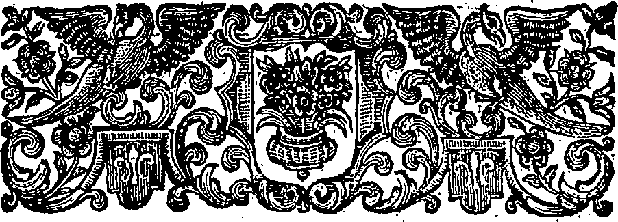 005/005890080000050_1.png