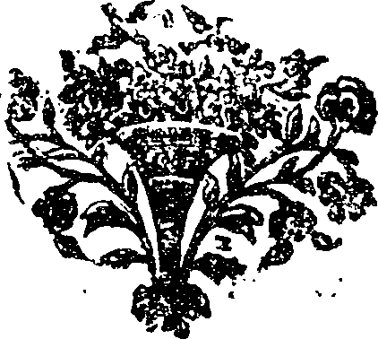 005/005900080000220_0.png