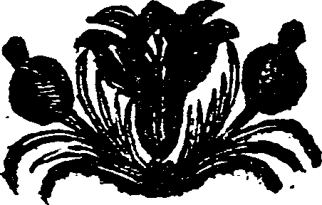 005/005900260000030_0.png