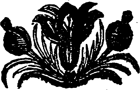 005/005900280001980_0.png