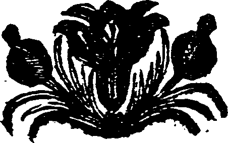 005/005900280002990_0.png