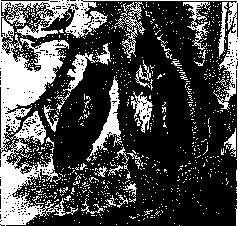 006/006380050101740_0.png