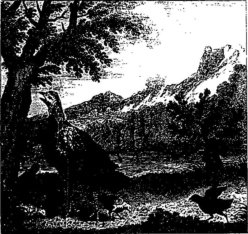 006/006380050102000_0.png