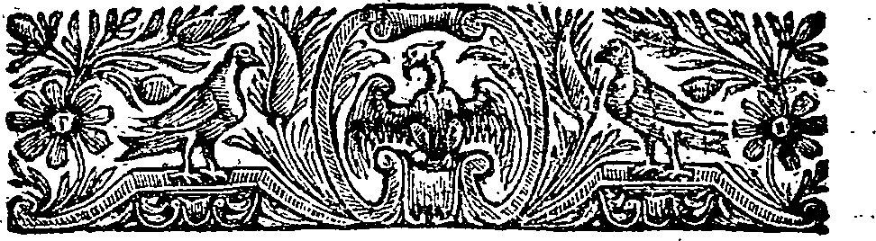 006/006470060000030_1.png