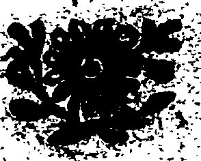 007/007940520000010_1.png