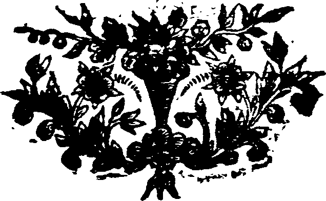 008/008420410000290_0.png