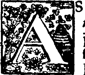 008/008440360000020_0.png