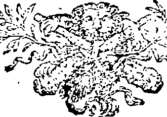 008/008550090000880_0.png