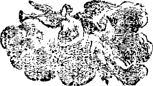008/008550090002690_0.png