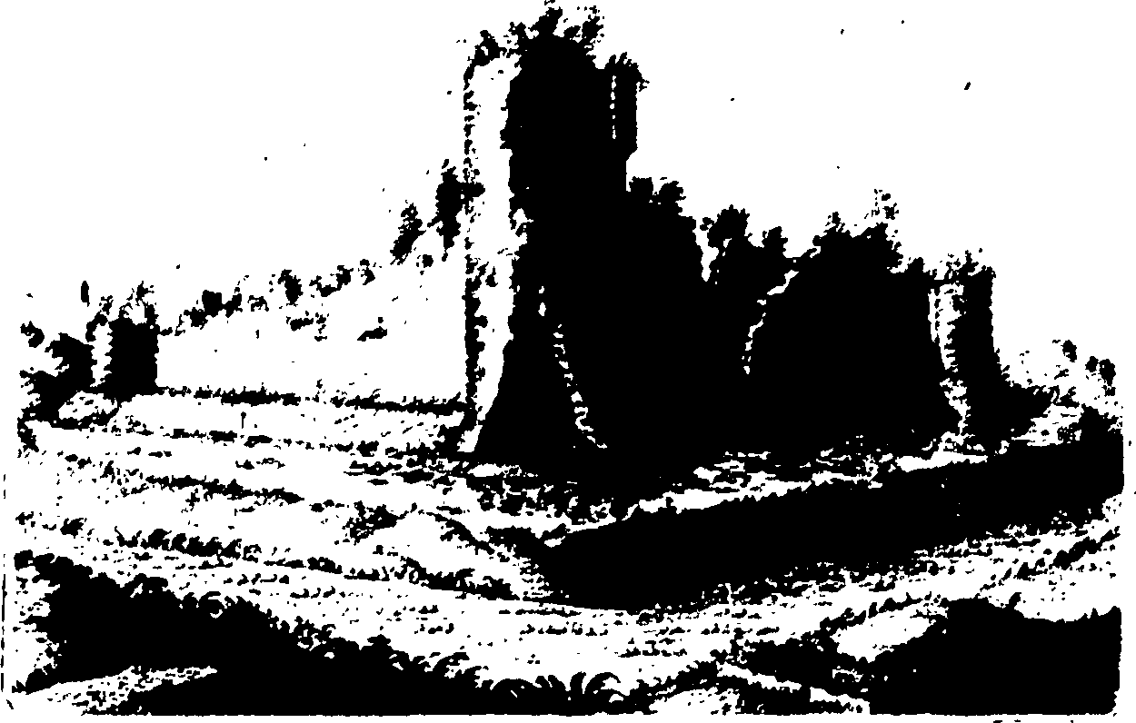 008/008640070000500_0.png